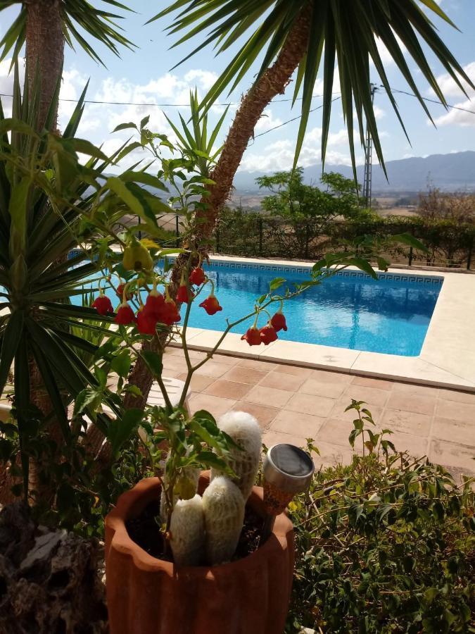 Casa Miguel Bed & Breakfast Pizarra Exterior photo