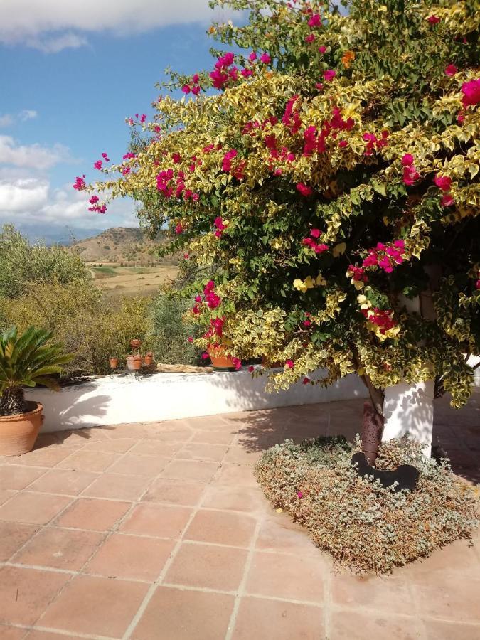 Casa Miguel Bed & Breakfast Pizarra Exterior photo